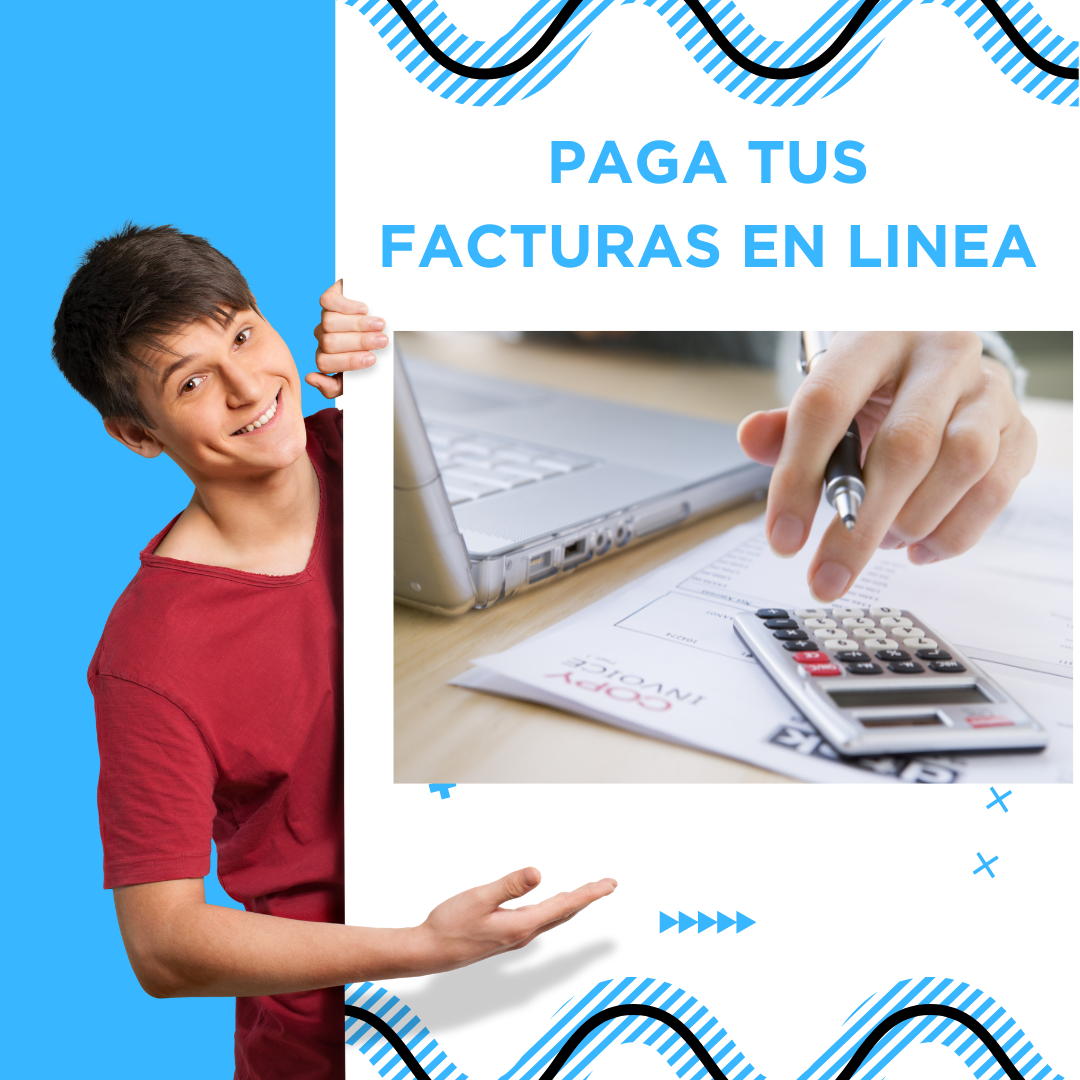 Pago de Factura de Energía